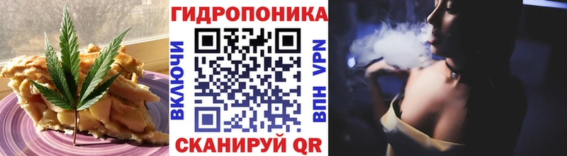 MEGA   как найти закладки  Няндома  Еда ТГК конопля 